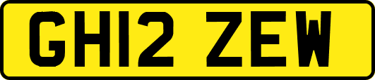 GH12ZEW