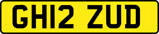 GH12ZUD