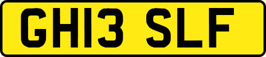 GH13SLF