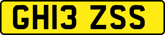 GH13ZSS