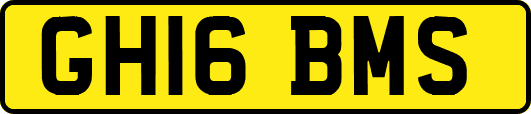 GH16BMS