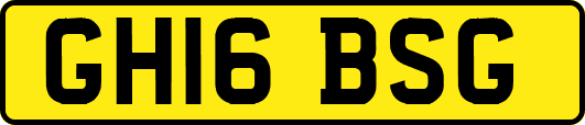 GH16BSG