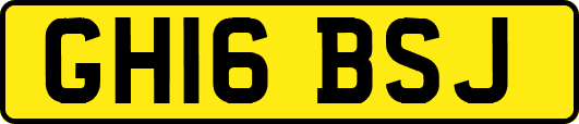 GH16BSJ