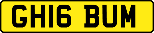 GH16BUM
