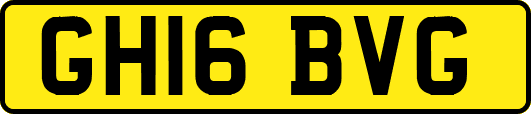 GH16BVG