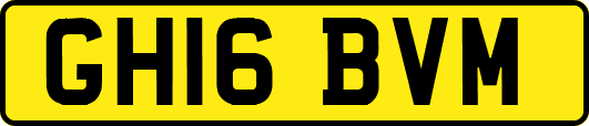 GH16BVM
