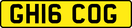 GH16COG