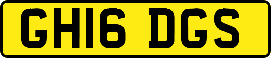 GH16DGS