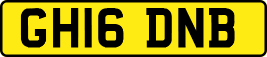GH16DNB