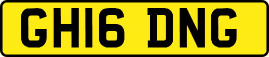 GH16DNG