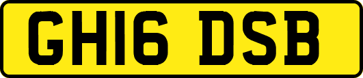 GH16DSB