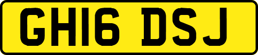 GH16DSJ