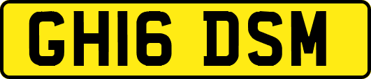 GH16DSM
