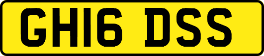 GH16DSS