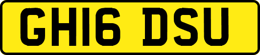 GH16DSU