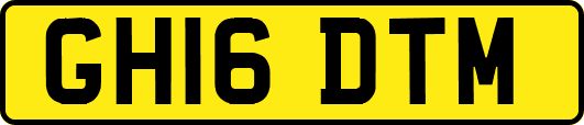 GH16DTM