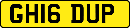 GH16DUP