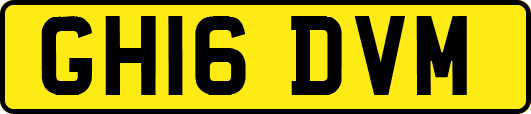 GH16DVM