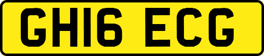 GH16ECG