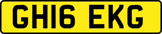 GH16EKG