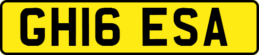GH16ESA