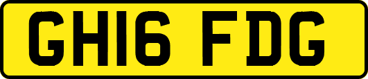 GH16FDG