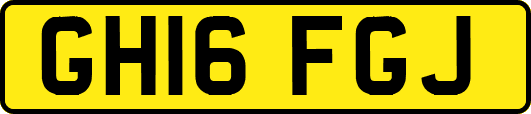 GH16FGJ