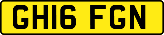 GH16FGN