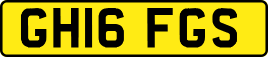 GH16FGS