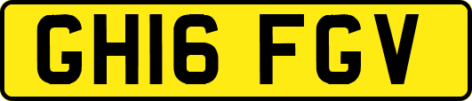 GH16FGV