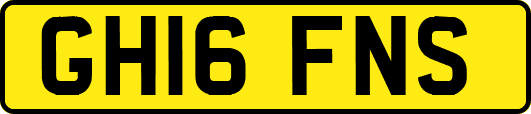 GH16FNS