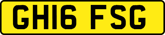 GH16FSG