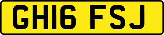 GH16FSJ