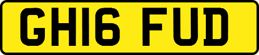 GH16FUD