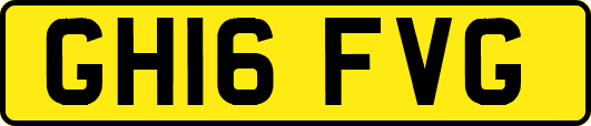GH16FVG