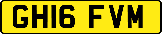 GH16FVM