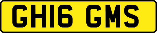 GH16GMS