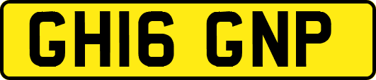 GH16GNP