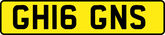 GH16GNS