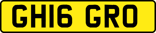 GH16GRO