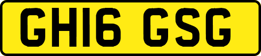 GH16GSG