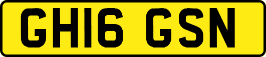 GH16GSN