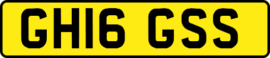 GH16GSS