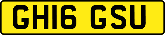 GH16GSU