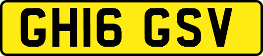 GH16GSV