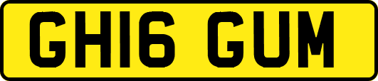 GH16GUM