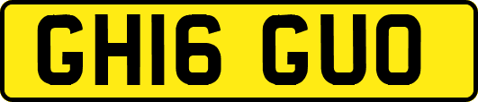 GH16GUO