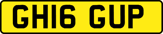 GH16GUP