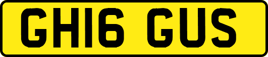 GH16GUS