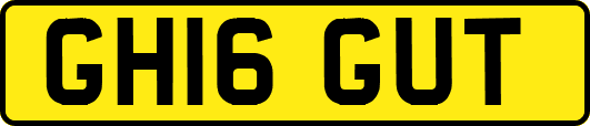 GH16GUT
